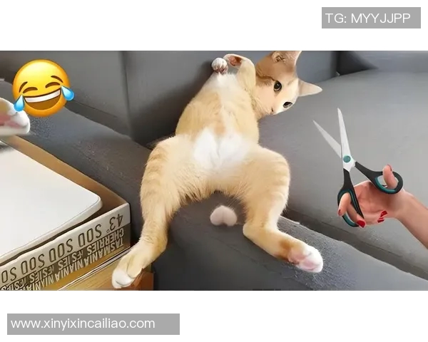 足球明星搞笑瞬间合集可爱卖萌视频大放送欢乐时刻不容错过